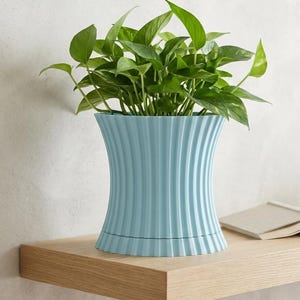 May include: A light blue, fluted planter filled with green leafy plants. The planter sits on a wooden shelf with a book and a mug on a saucer. The background is a neutral-colored wall.