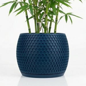 May include: A potted bamboo plant with vibrant green leaves and stalks. The plant is in a navy blue, textured pot with a honeycomb pattern. The pot sits on a matching saucer, creating a modern, minimalist aesthetic.