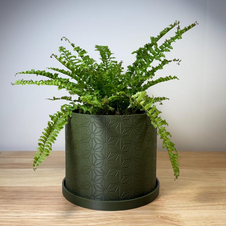 Ø5" Hexstar Indoor Planter in Dark Green with a vibrant fern.