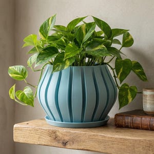 May include: A light blue, ribbed planter pot with a trailing green plant. The plant has heart-shaped leaves with yellow variegation. The pot sits on a matching saucer. A candle and a book are on a wooden shelf.