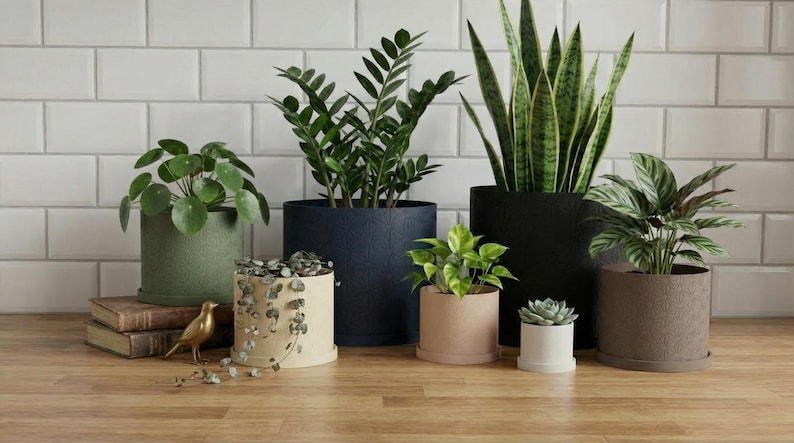 3D Printed Planter Pot "Hexstar" with Tray: Modern Indoor Plant Pot, Small, Medium and Large & Multiple Colors - 2", 3", 4", 5", 6", 7" 8" imagen 3