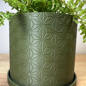 Modern Matte Olive Green 3D printed indoor planter with geometric star (Hexstar) pattern texture, cylindrical shape, and matching drip tray, shown with a fern on a wooden surface.
