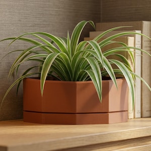 May include: A spider plant with long, green and white striped leaves sits in a geometric, terracotta-colored planter. The planter is on a wooden shelf, with a stack of books in the background.