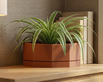 Maceta geométrica de esquina para interior con drenaje y bandeja de goteo giratoria / Maceta de estantería / Decoración moderna de oficina / 10,16 cm, 13,78 cm, 18,18 cm y 20,32 cm
