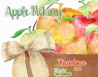 Apple Watercolor Clipart, Bushels, Baskets, Fruit - Burlap Bows, Country,  Rustic, Arrangements, Fall, Thanksgiving, Transparent PNG