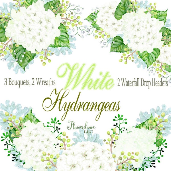 White Hydrangea Watercolor Clipart Bouquets, Leaves, Dusty Miller and Berries, Floral drop arrangements, wreaths