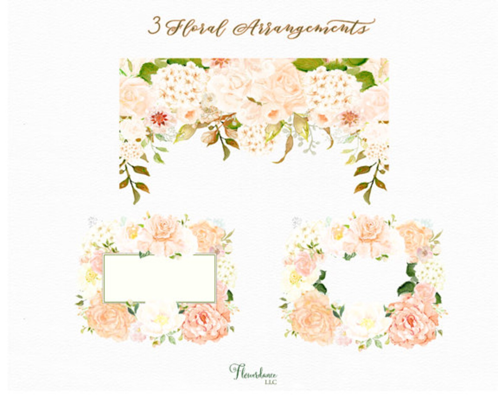 Watercolor Flower Clipart in Peach and Cream Hydrangeas Etsy