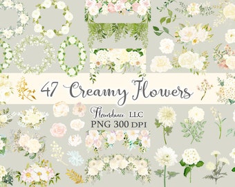 47 Creamy Flowers PNG, Watercolor Floral Clipart Bundle in Cream and Ivory Colors - Bouquets, Wreaths, Drops, Elements, Small Commercial Use