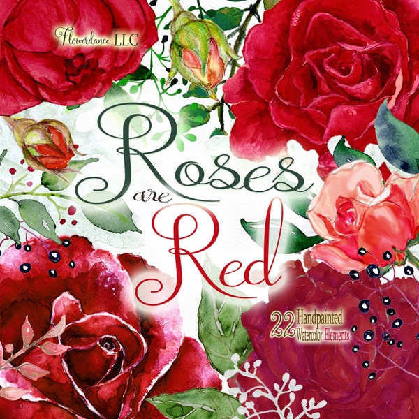 Red Rose Watercolor Clipart, Crimson, Scarlet, Emerald Leaves, Ferns, Buds, Dusty Miller, Berries, Branches, Digital Download