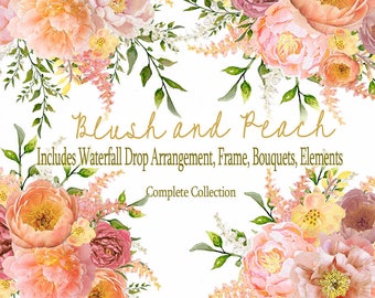 Peony Watercolor Clipart - Blush, Pink, Peach - Floral Element, Bouquet Arrangements, Drop Header Arrangement, Floral Frame, Transparent PNG