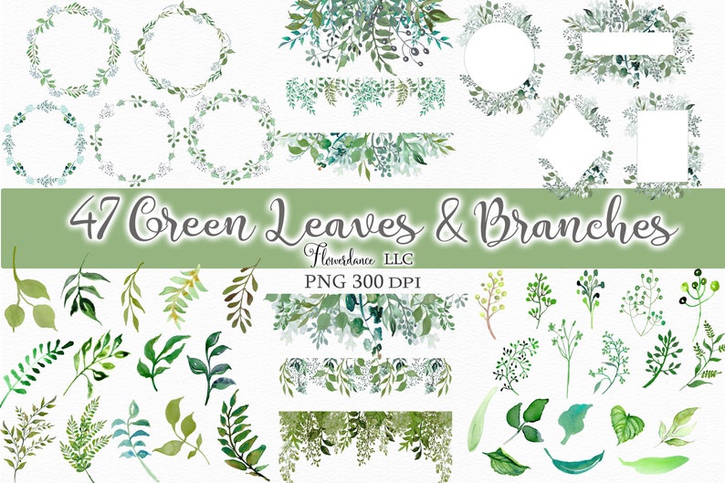 Green Leaves and Branches PNG, Watercolor Floral Clipart Bundle of 47 Includes Frames, Wreaths, Drops, Berry Branches, Elements image 1