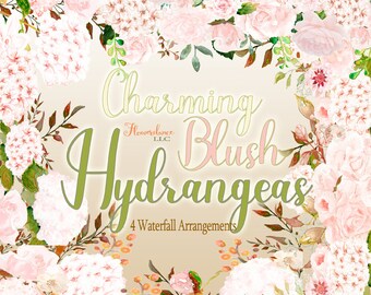 Blush Hydrangea and Rose Watercolor Clipart Drop Arrangements, transparent png, sublimation