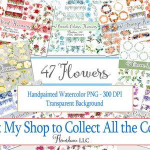 Pink Flowers PNG, Watercolor Floral Clipart Bundle of 47, Includes Bouquets, Wreaths, Drops and Elements, Small Commercial Use image 4