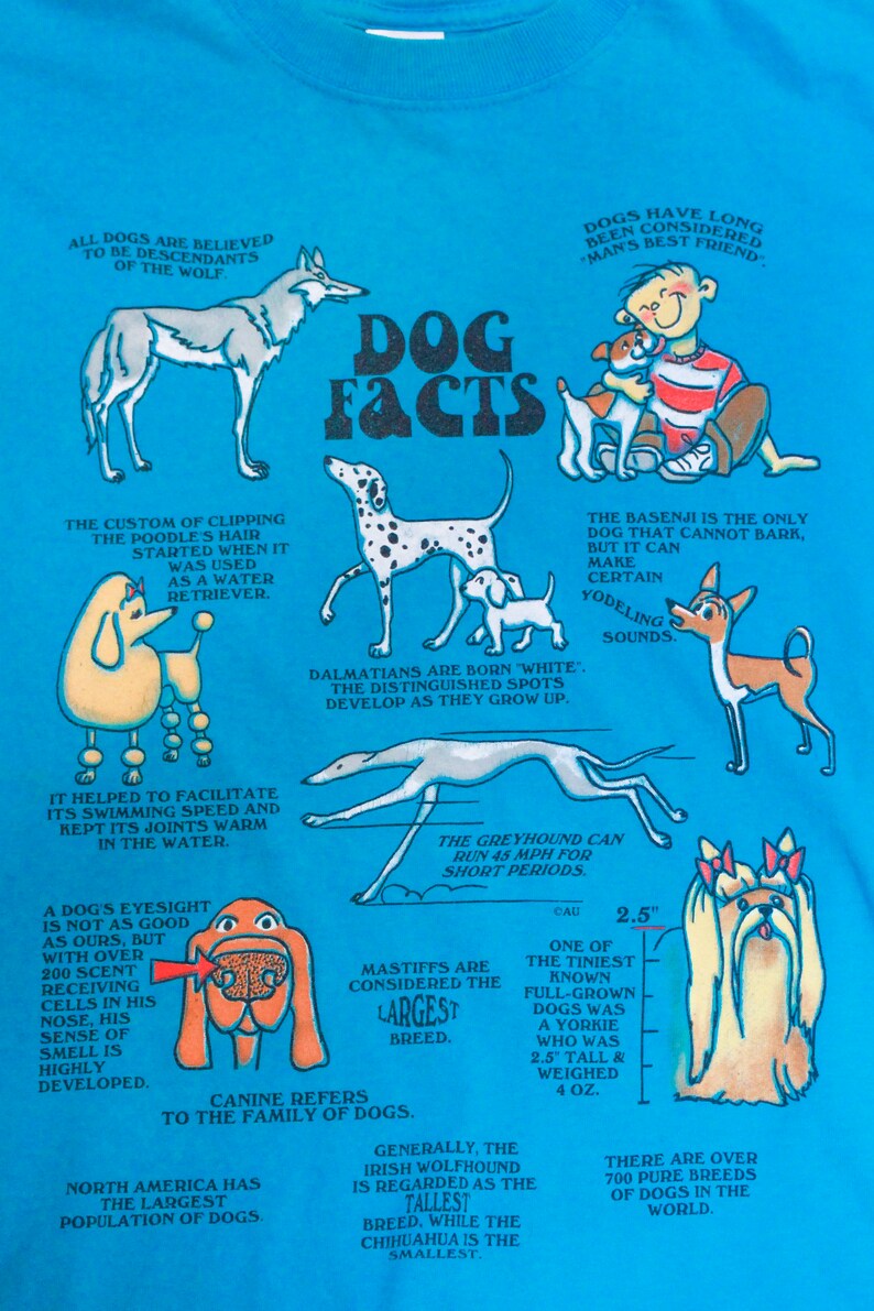 May include: A blue t-shirt featuring a cartoon illustration of dogs and facts about dogs. The text includes "Dog Facts" and "All dogs are believed to be descendants of the wolf".