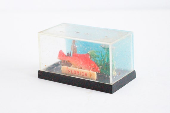 globe fish tank