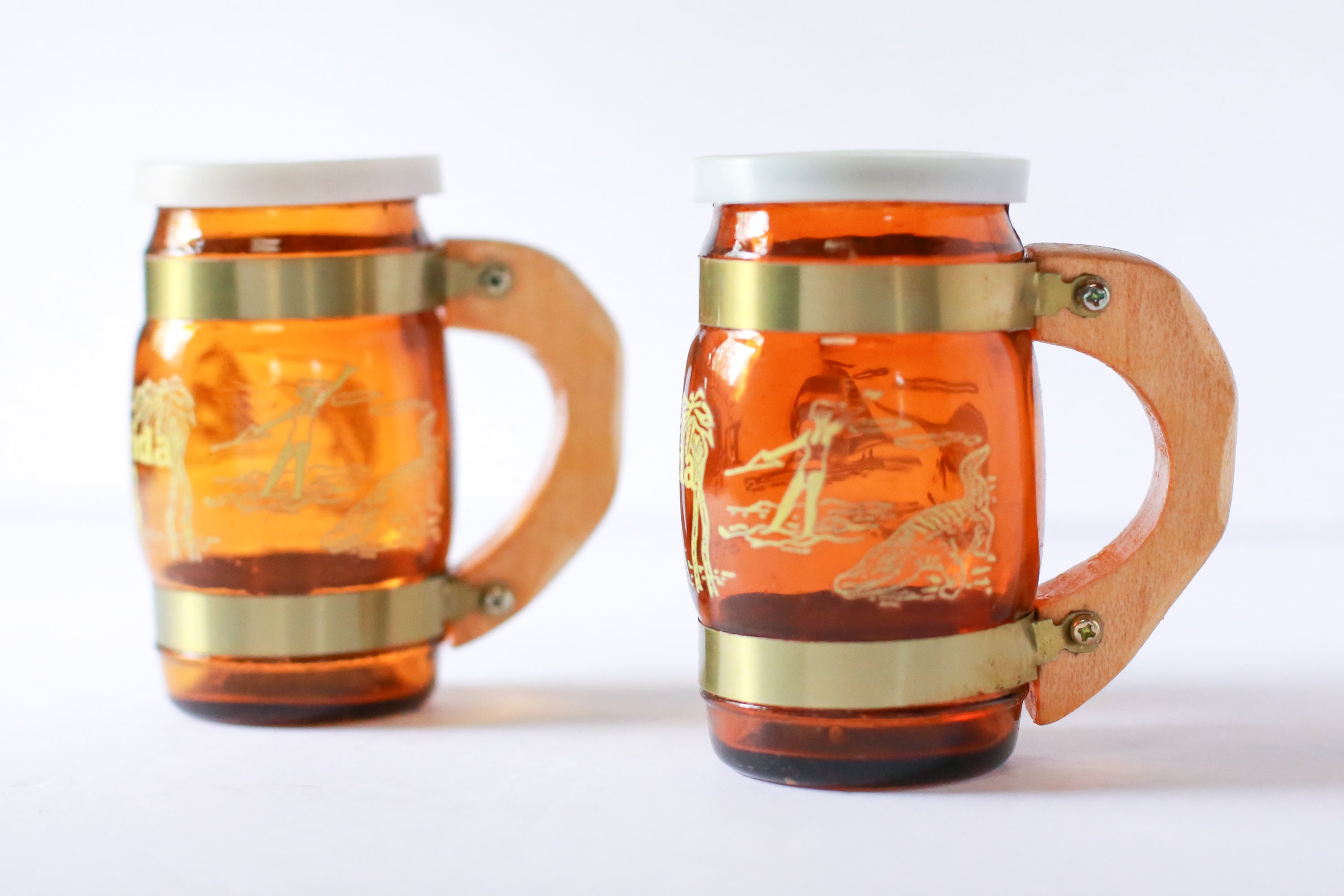 Vintage Florida Salt and Pepper Shakers With Wooden Handles Etsy