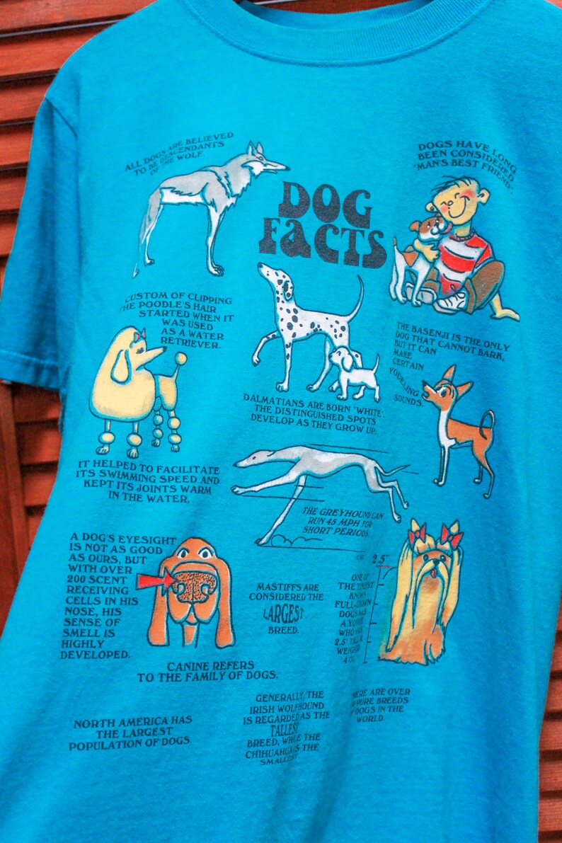 May include: A turquoise blue t-shirt featuring a cartoon illustration of various dog breeds and facts about dogs. The text on the shirt reads "Dog Facts".