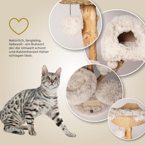 Puede incluir: Un &aacute;rbol para gatos de varios niveles con un tronco de madera natural, camas afelpadas de color crema y una parte superior tejida. El &aacute;rbol incluye un juguete de pomp&oacute;n colgante y est&aacute; dise&ntilde;ado para proporcionar un espacio c&oacute;modo para los gatos. Tambi&eacute;n se muestra un gato bengal&iacute;.