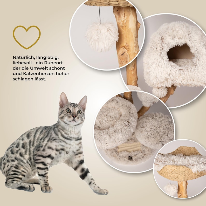 Puede incluir: Un &aacute;rbol para gatos de varios niveles con un tronco de madera natural, camas afelpadas de color crema y una parte superior tejida. El &aacute;rbol incluye un juguete de pomp&oacute;n colgante y est&aacute; dise&ntilde;ado para proporcionar un espacio c&oacute;modo para los gatos. Tambi&eacute;n se muestra un gato bengal&iacute;.