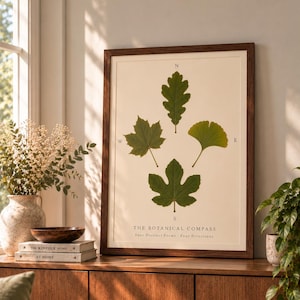Botanical Compass Wall Art | 4 Real Pressed Leaves | Oak Ginkgo Fig Sycamore | A2 Botanical Frame