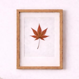 Op de afbeelding: Een ingelijst kunstwerk met een geperst, roodbruin esdoornblad. Het blad is gecentreerd op een witte achtergrond in een lichtbruine houten lijst. Het kunstwerk hangt boven een houten kast met decoratieve items.