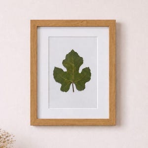 May include: A framed botanical print featuring a green fig leaf. The leaf is centered on a white background within a light brown wooden frame. The image is displayed on a wooden surface with decorative items.