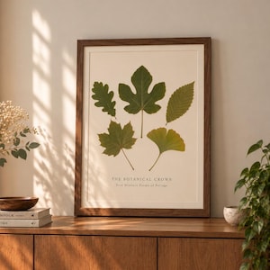 May include: A framed botanical print titled THE BOTANICAL CROWN Five Distinct Forms of Foliage, featuring five green leaves on a cream background. The artwork is displayed in a dark wood frame, showcasing an oak, fig, elm, maple, and ginkgo leaf.