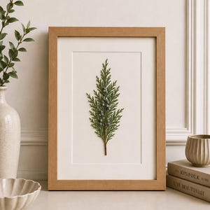 Könnte beinhalten: Ein gerahmter botanischer Druck mit einem Zweig grünen Laubes mit kleinen blauen Beeren. Das Kunstwerk ist in einem hellbraunen Holzrahmen mit einem weißen Passepartout eingefasst. Der Druck wird auf einer weißen Oberfläche mit dekorativen Gegenständen ausgestellt.