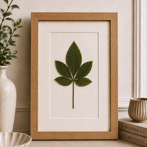 May include: A framed botanical print of a green leaf with a central stem, set against a cream background. The artwork is presented in a light brown wooden frame. The framed print is displayed on a light-colored surface.