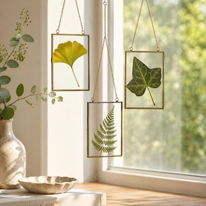 May include: Three rectangular glass frames suspended by gold chains, each displaying a pressed leaf. A yellow ginkgo leaf, an ivy leaf, and a fern are showcased. The frames hang in front of a window, creating a natural, botanical display.