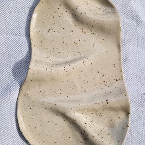 May include: A speckled, off-white ceramic serving platter with an unusual, organic shape. The platter has a slightly wavy surface and is covered in small, dark brown speckles. The design is minimalist and modern, suitable for serving appetizers or small dishes.
