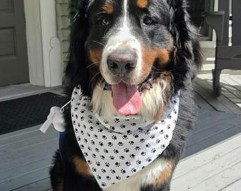 Big Dog Bandanas (28")
