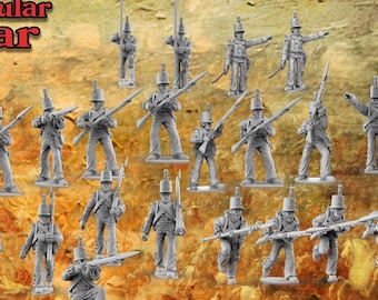 Peninsular War 1808 British Infantry