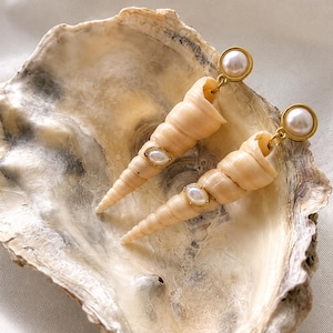 Könnte beinhalten: Ohrringe aus Muscheln mit goldfarbenen Akzenten und Kunstperlen. Die Ohrringe werden auf einer großen, offenen Muschel vor weißem Hintergrund präsentiert. Die Ohrringe haben ein Spiraldesign mit einem Perlenakzent.