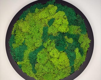 Round Moss Wall Art in Wooden Frame - Circular Preserved Moss Decor - Modern Minimalist Greenery - Zen Nature Inspired Wall Hanging
