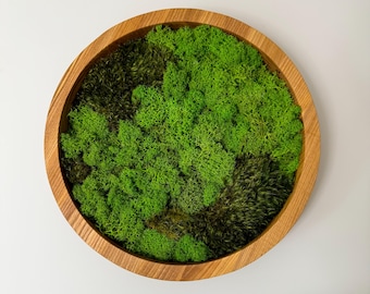 Luxury Round Moss Wall Art - Set of Circular Preserved Moss Frames - Living Wall Decor for Home & Office - Modern Biophilic Art