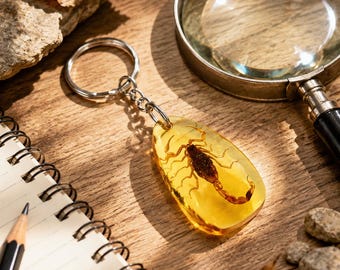 Scorpion Resin Keychain, Weird Gift Idea, Realistic Bug Keyring, Unique Gift for Friend, Cool Novelty Keychain