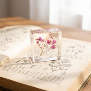 Könnte beinhalten: Ein klarer, quadratischer Harzblock mit zarten, getrockneten rosa Blumen. Der transparente Würfel hat eine glatte, polierte Oberfläche und zeigt die natürlichen Stängel und kleinen Blüten, die im festen Material eingeschlossen sind.