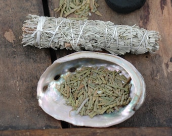 Smudge Kit with Sage, Feather, Cedar, Sweetgrass, Charcoal, Abalone Shell Ceremony, Meditation, Cleansing, Positive Energy, Beginner's Kit