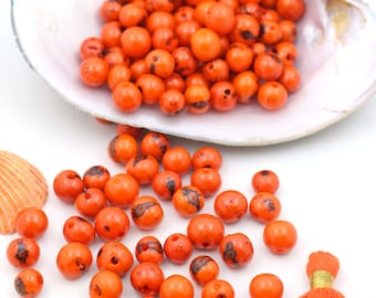 Pumpkin Orange: Real, Natural Acai Beads / South American Eco- Beads / 10mm, 100 beads / Bright, Round, Large Hole / Jewelry Making Supply