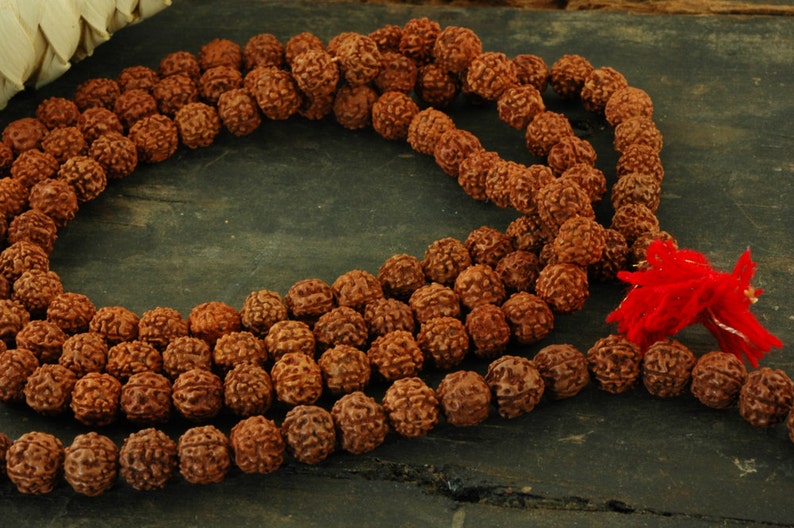 Natural Indian Seeds Shiva Tears: 10mm Rudraksha Beards Yoga Necklace Intentional Living Boho Jewelry Making Supplies 108 Bead Mala