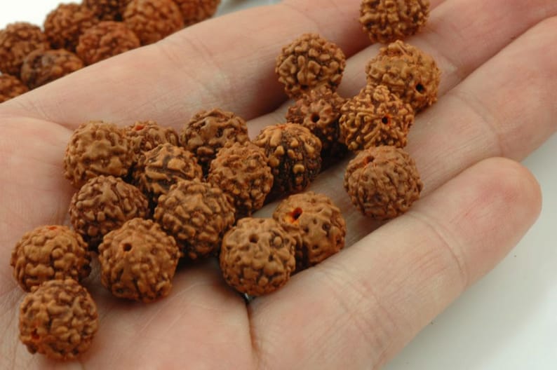 Natural Indian Seeds Shiva Tears: 10mm Rudraksha Beards Yoga Necklace Intentional Living Boho Jewelry Making Supplies 108 Bead Mala
