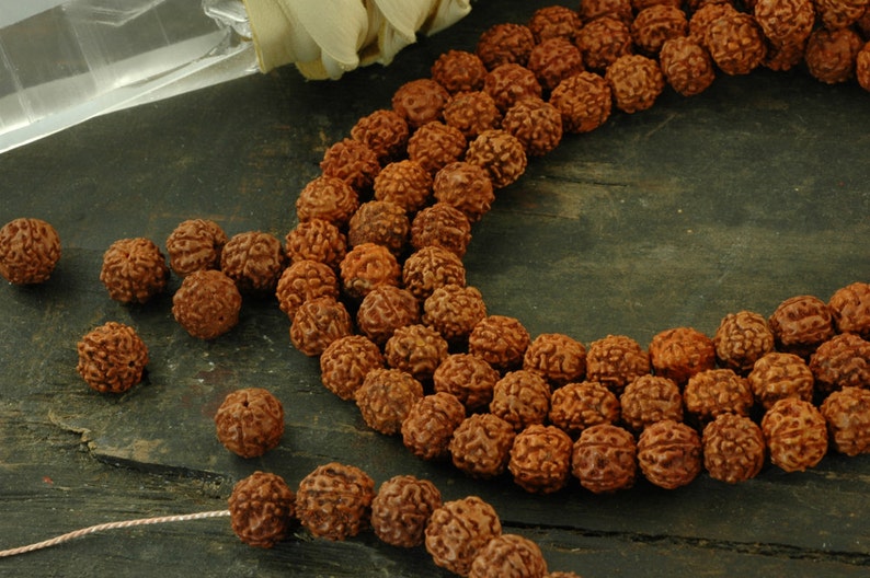 Natural Indian Seeds Shiva Tears: 10mm Rudraksha Beards Yoga Necklace Intentional Living Boho Jewelry Making Supplies 108 Bead Mala