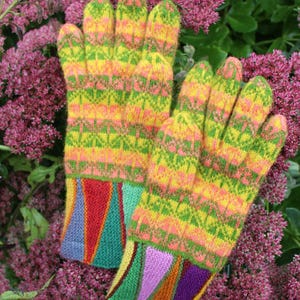 Könnte beinhalten: Ein Paar gestrickte Handschuhe mit einem bunten geometrischen Muster. Die Handschuhe sind gelb, grün, orange, rot, lila und blau. Die Handschuhe liegen auf einem Bett aus rosa Blüten.