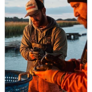 Premium Oyster Shells from Sustainable Oyster Farm