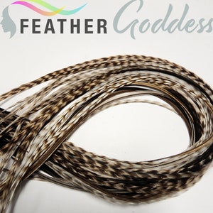 6 Coffee and Cream, XXXL Premium Feather Hair Extensions with 3 Free Crimp Beads