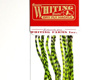 16 Grizzly/Chartreuse  Whiting Farms Fashion Pack Hair Feather Extensions with 3 Free Crimp Beads