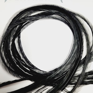 Midnight Black Feather Hair Extensions with Crimp Beads