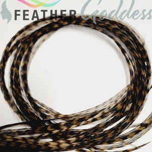 Grizzly Brassy Dun Feather Hair Extensions, XXXL with Crimp Beads