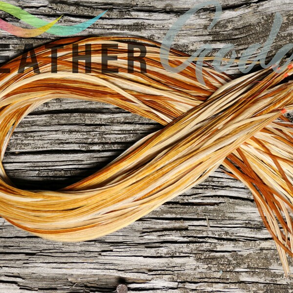 12 Golden Ginger Feather Hair Extensions, Premium Whiting Farms Rooster Feathers